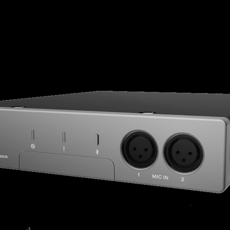 Audio Processor for Ceiling Arrays